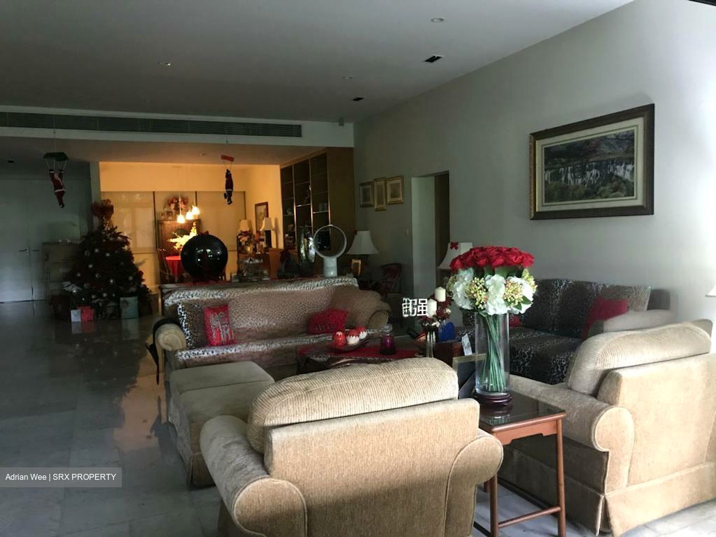 The Arcadia (D11), Condominium For Sale 100856811